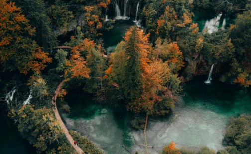 services-04 Services 04